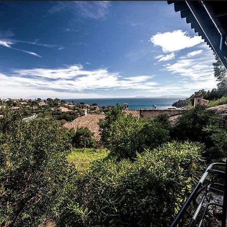 Petite Maison De Vacance Vue Mer Le Lavandou Bagian luar foto